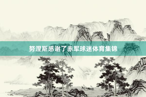 努涅斯感谢了赤军球迷体育集锦