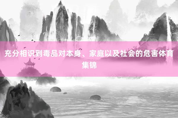 充分相识到毒品对本身、家庭以及社会的危害体育集锦