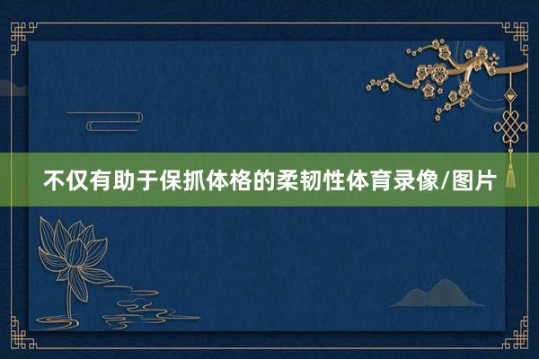 不仅有助于保抓体格的柔韧性体育录像/图片
