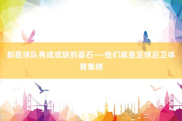 却是球队弗成或缺的基石——他们就是足球后卫体育集锦