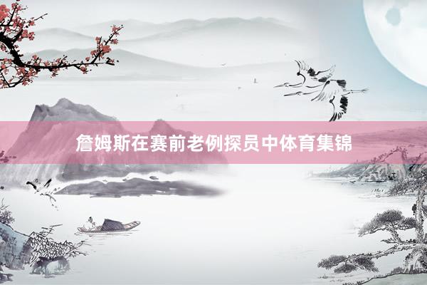 詹姆斯在赛前老例探员中体育集锦