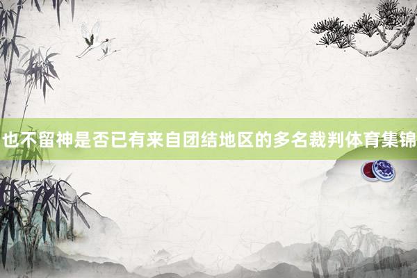 也不留神是否已有来自团结地区的多名裁判体育集锦