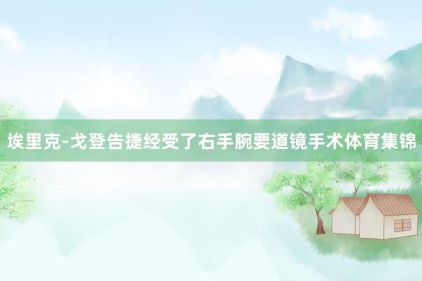 埃里克-戈登告捷经受了右手腕要道镜手术体育集锦