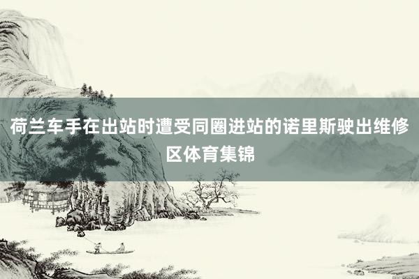 荷兰车手在出站时遭受同圈进站的诺里斯驶出维修区体育集锦