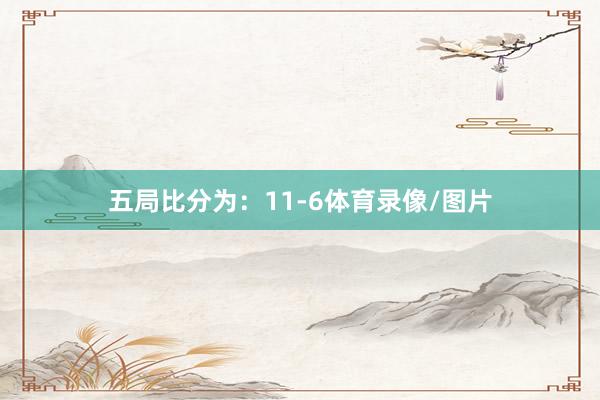 五局比分为：11-6体育录像/图片