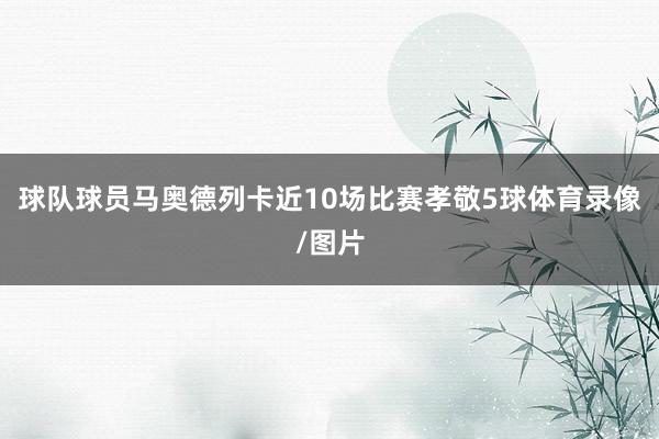 球队球员马奥德列卡近10场比赛孝敬5球体育录像/图片
