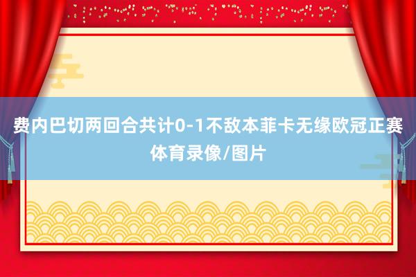费内巴切两回合共计0-1不敌本菲卡无缘欧冠正赛体育录像/图片