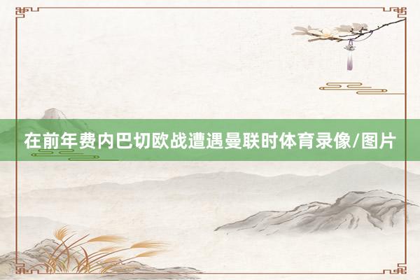 在前年费内巴切欧战遭遇曼联时体育录像/图片