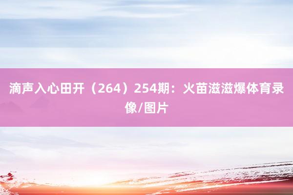 滴声入心田开（264）　　254期：火苗滋滋爆体育录像/图片
