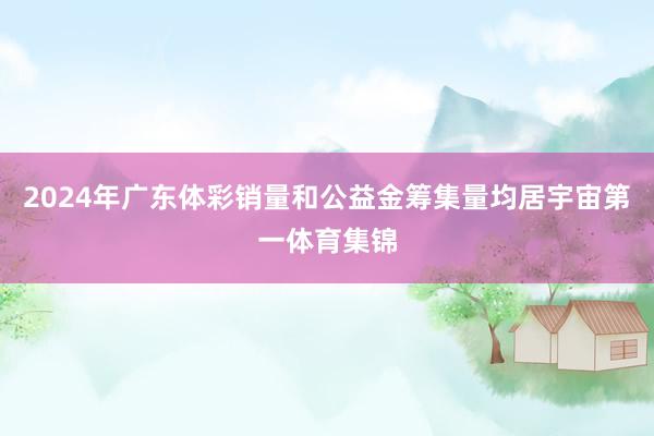 2024年广东体彩销量和公益金筹集量均居宇宙第一体育集锦