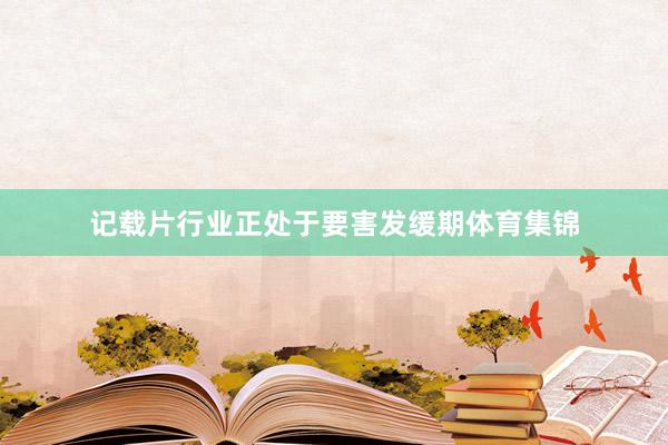记载片行业正处于要害发缓期体育集锦