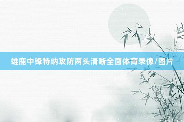 雄鹿中锋特纳攻防两头清晰全面体育录像/图片