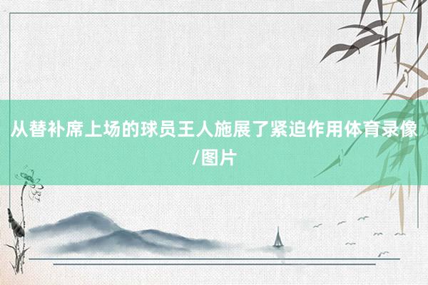 从替补席上场的球员王人施展了紧迫作用体育录像/图片