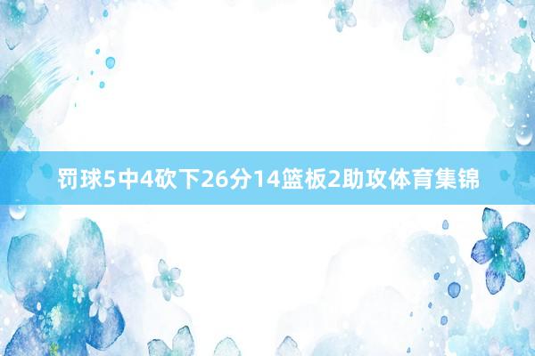 罚球5中4砍下26分14篮板2助攻体育集锦
