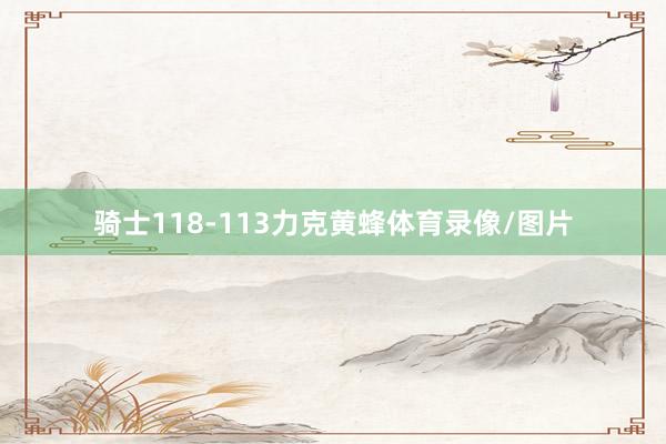 骑士118-113力克黄蜂体育录像/图片