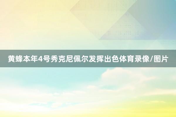 黄蜂本年4号秀克尼佩尔发挥出色体育录像/图片