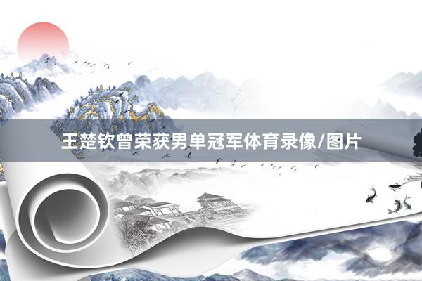 王楚钦曾荣获男单冠军体育录像/图片