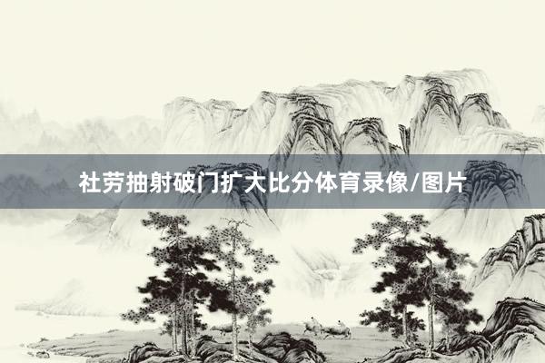 社劳抽射破门扩大比分体育录像/图片