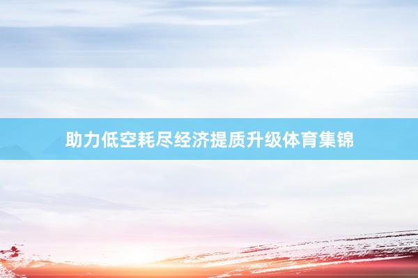 助力低空耗尽经济提质升级体育集锦
